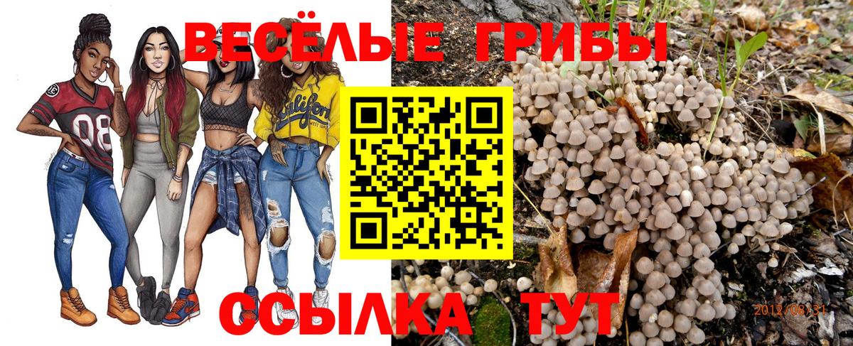 Псилоцибиновые грибы Magic Shrooms Лиски